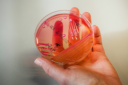 Biomed. Analytikerin runde Probe